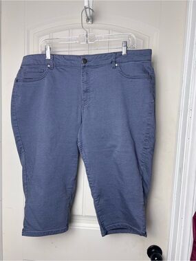 d.jeans Womens 20W Blue Stretch Capri Jeans Plus Sz Mid Rise Cropped Denim Pants